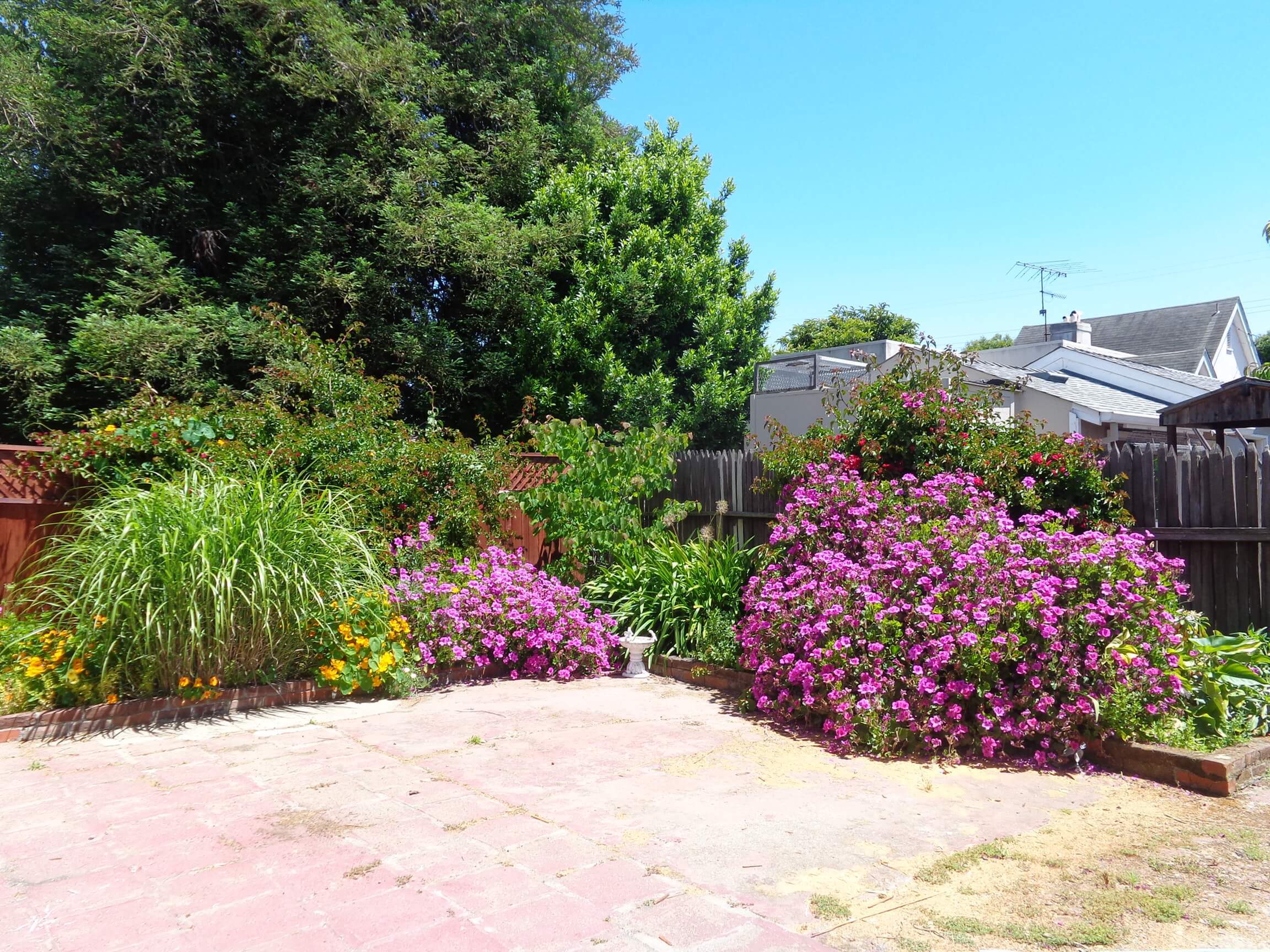 Yard
