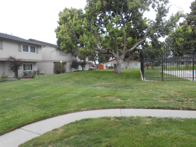 Yard
