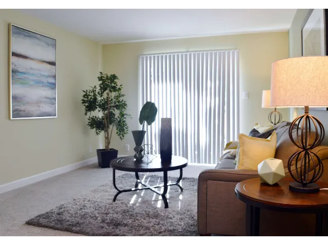 1 Bed 1 Bath