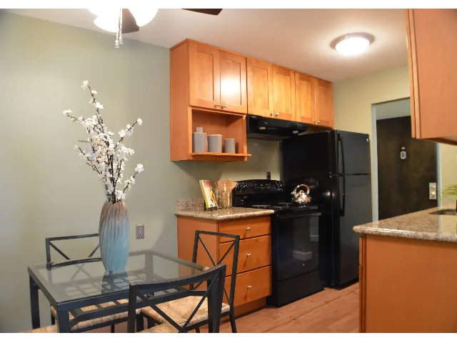 1 Bed 1 Bath