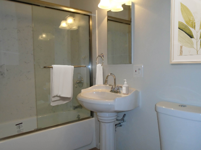 1 Bed 1 Bath
