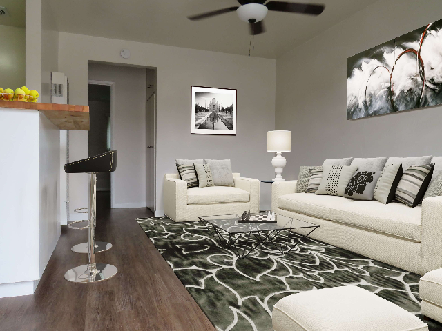 1 Bed 1 Bath