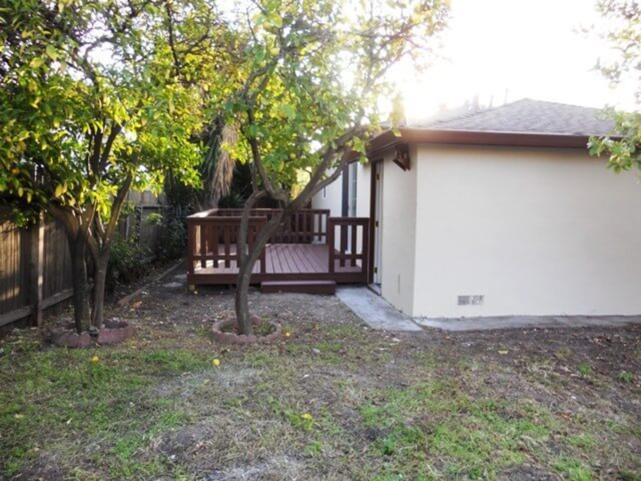 Backyard