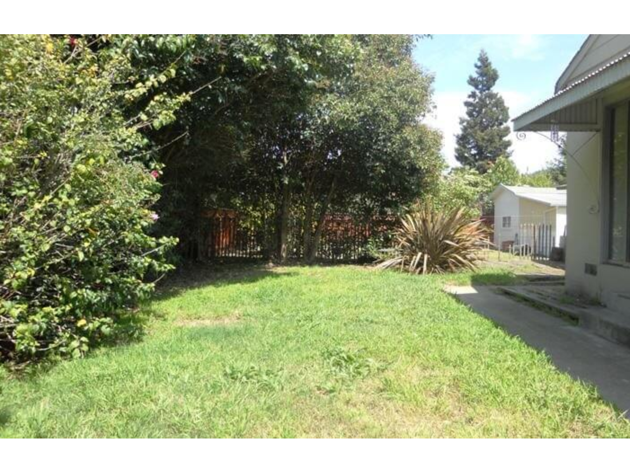 624 Juana - Backyard