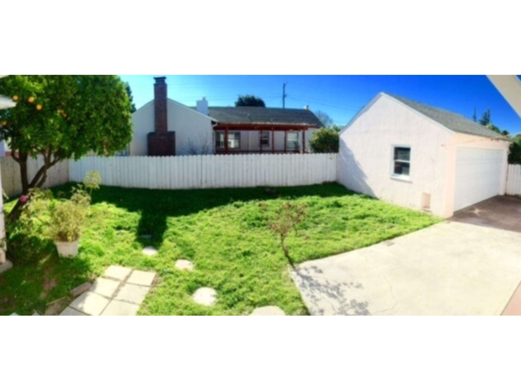 231 Lexington - Backyard