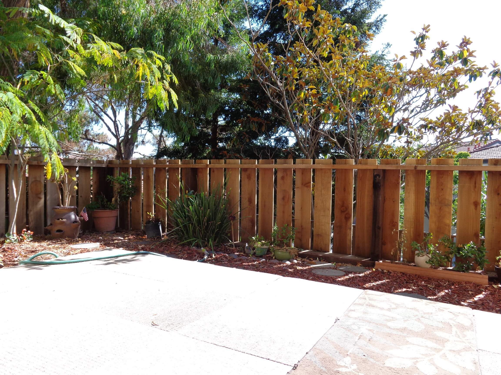 21228 Gary Dr. - Backyard