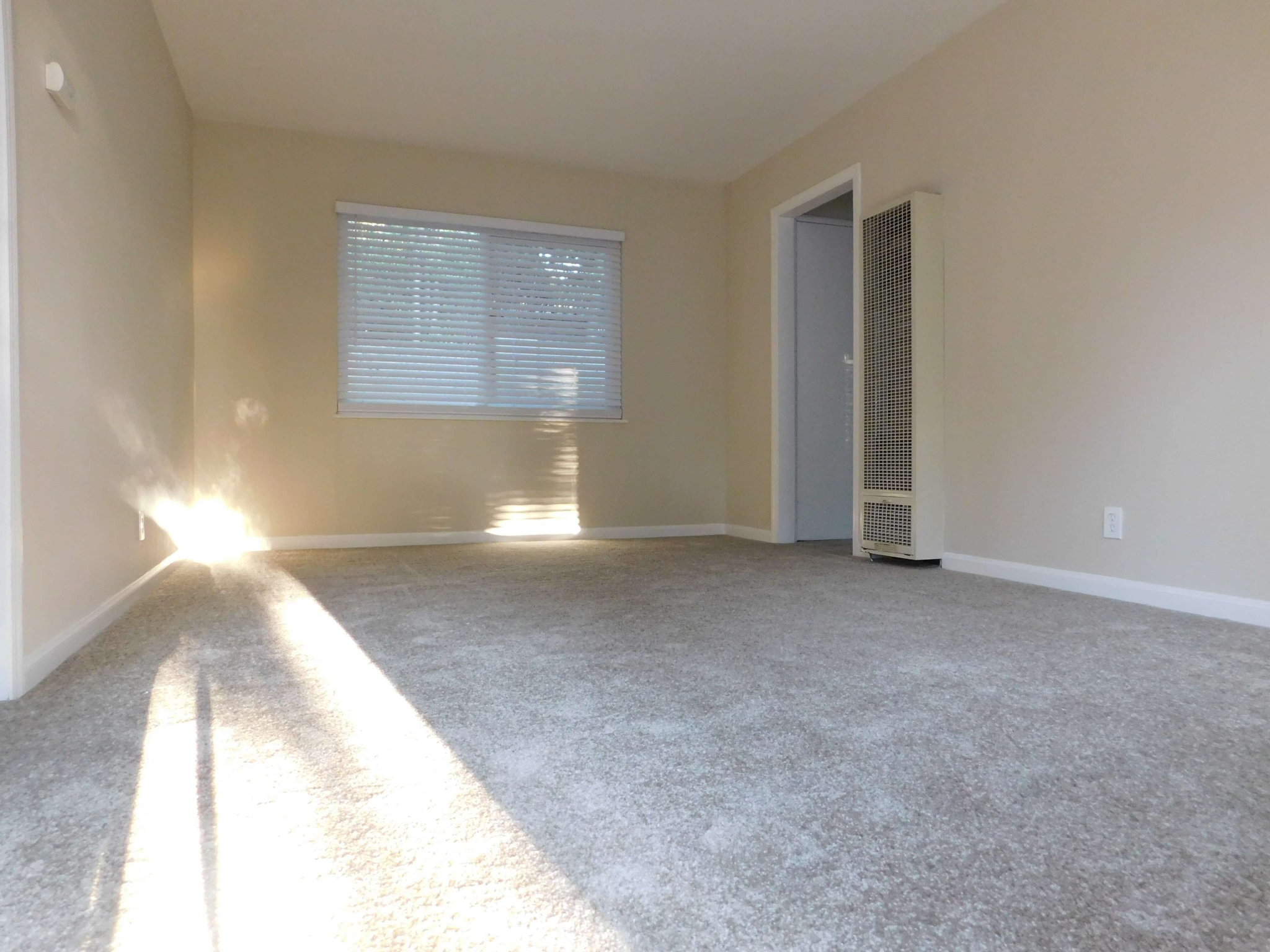 890 W. Tennyson Rd.