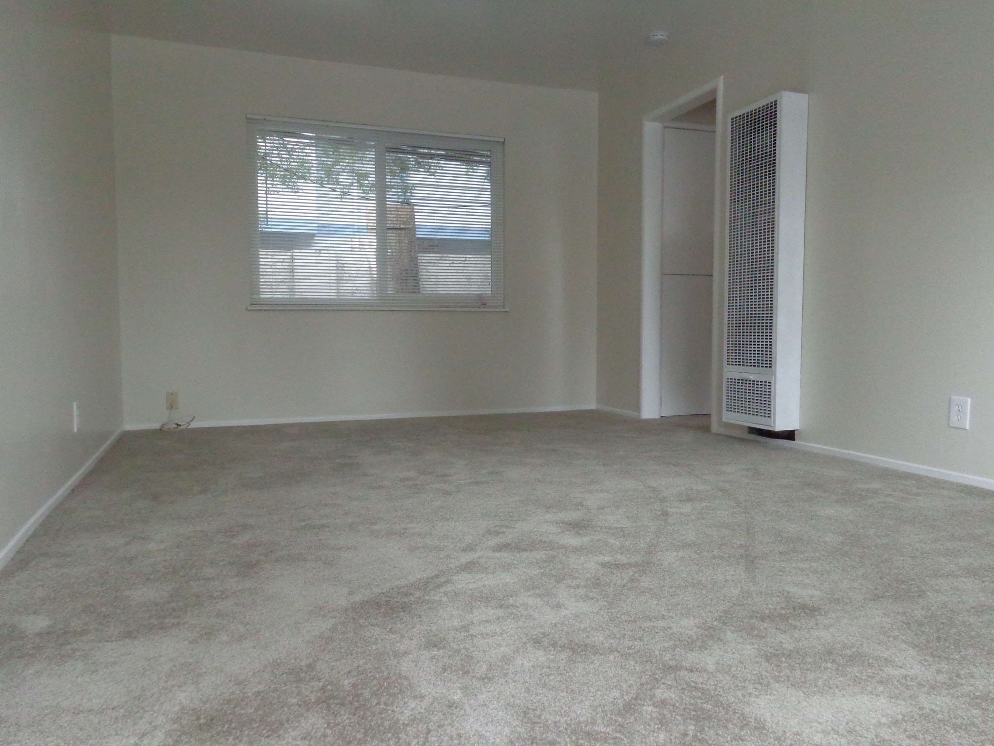 894 W. Tennyson Rd.