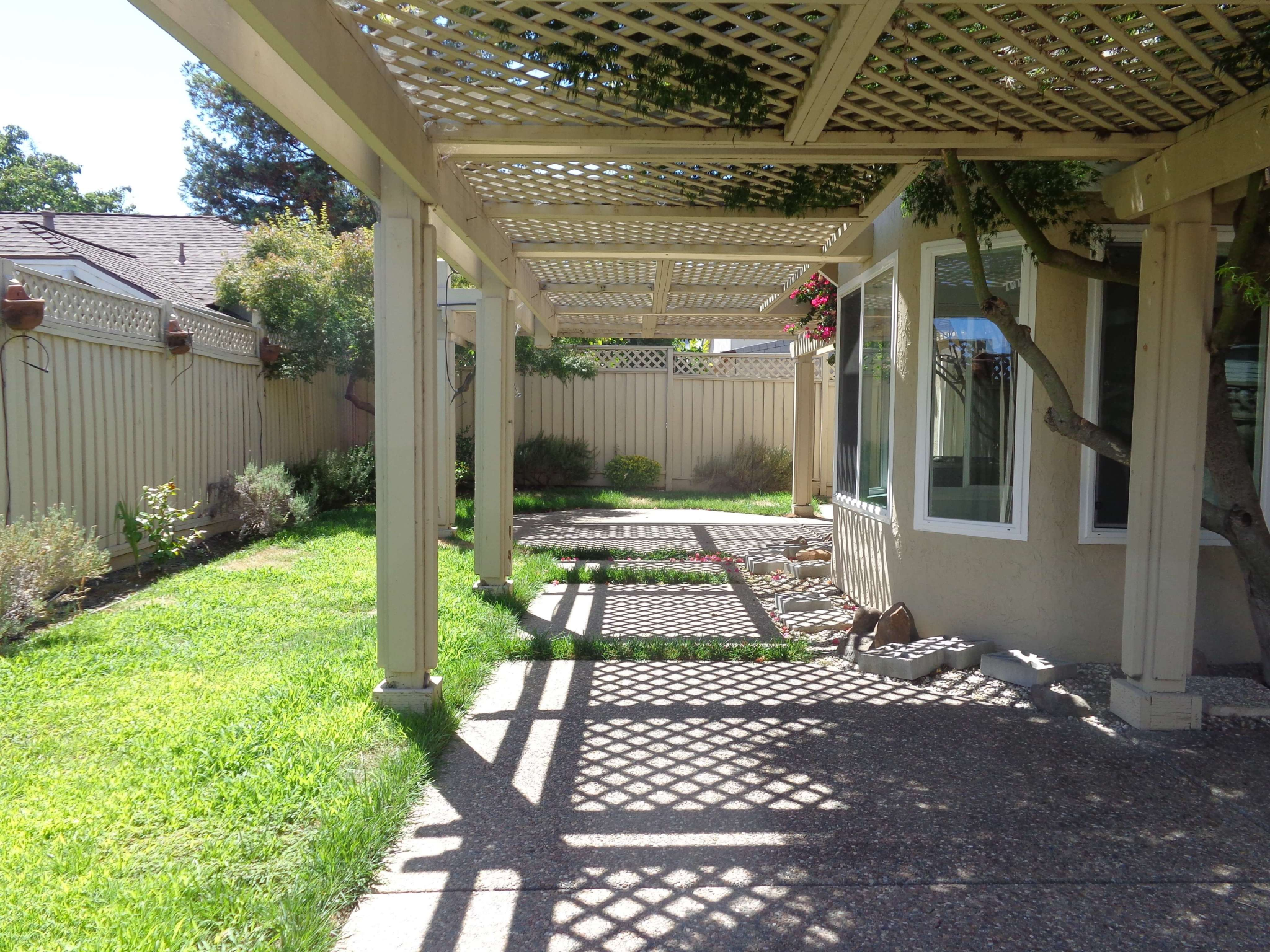 Backyard