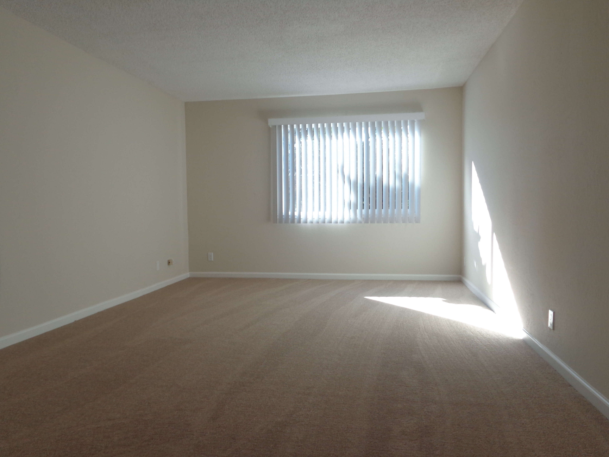 20836 Chester St.