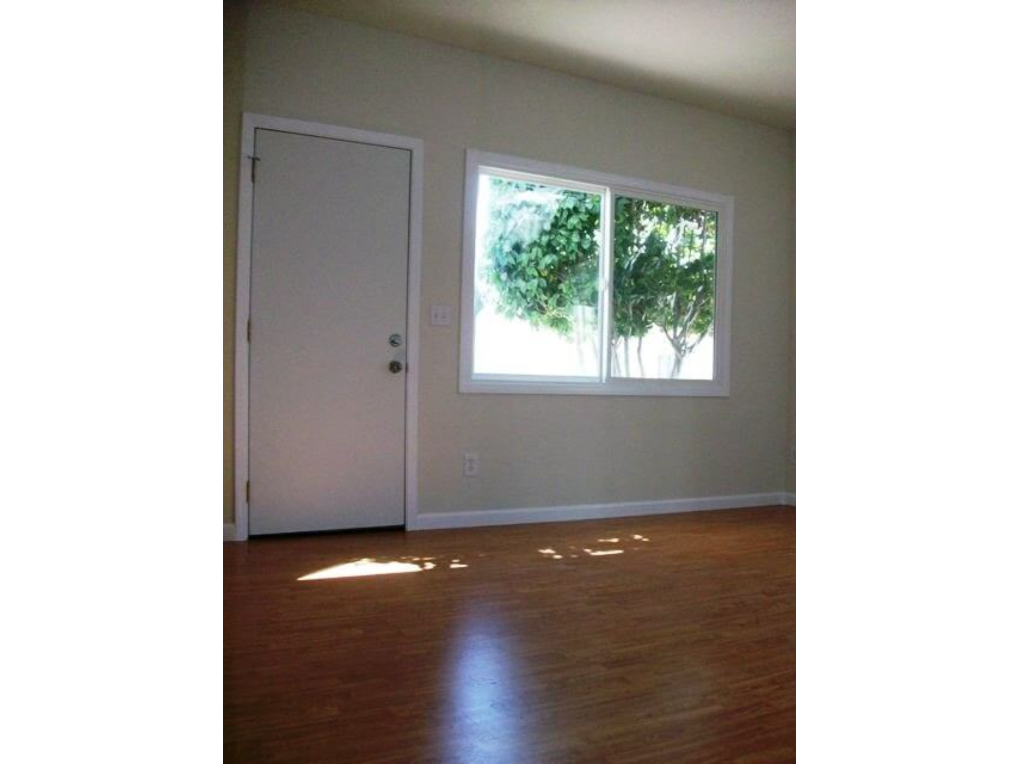 1553 Santa Maria St.