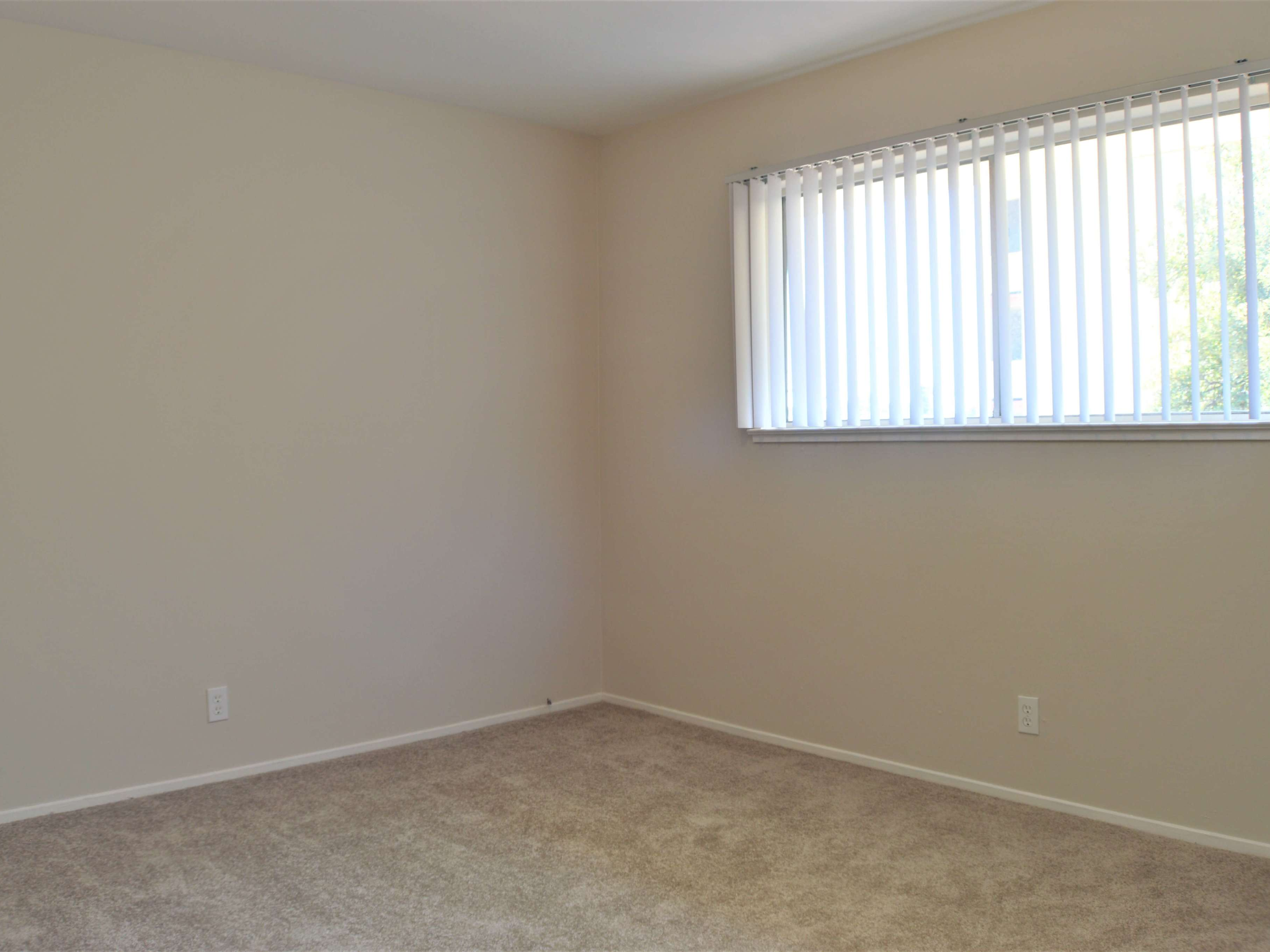 1565 Santa Maria St.