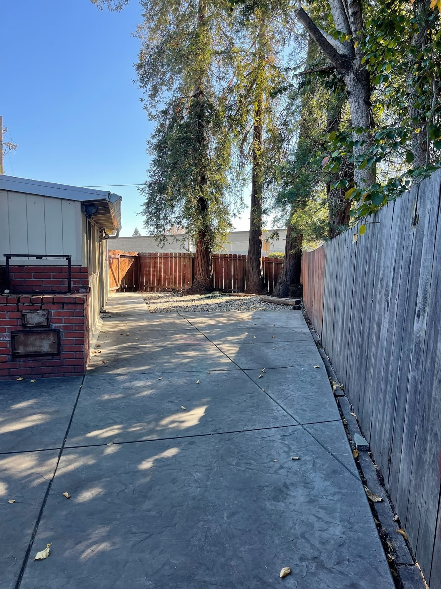 Backyard