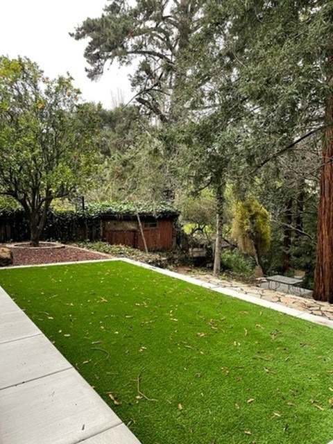 Shared Backyard