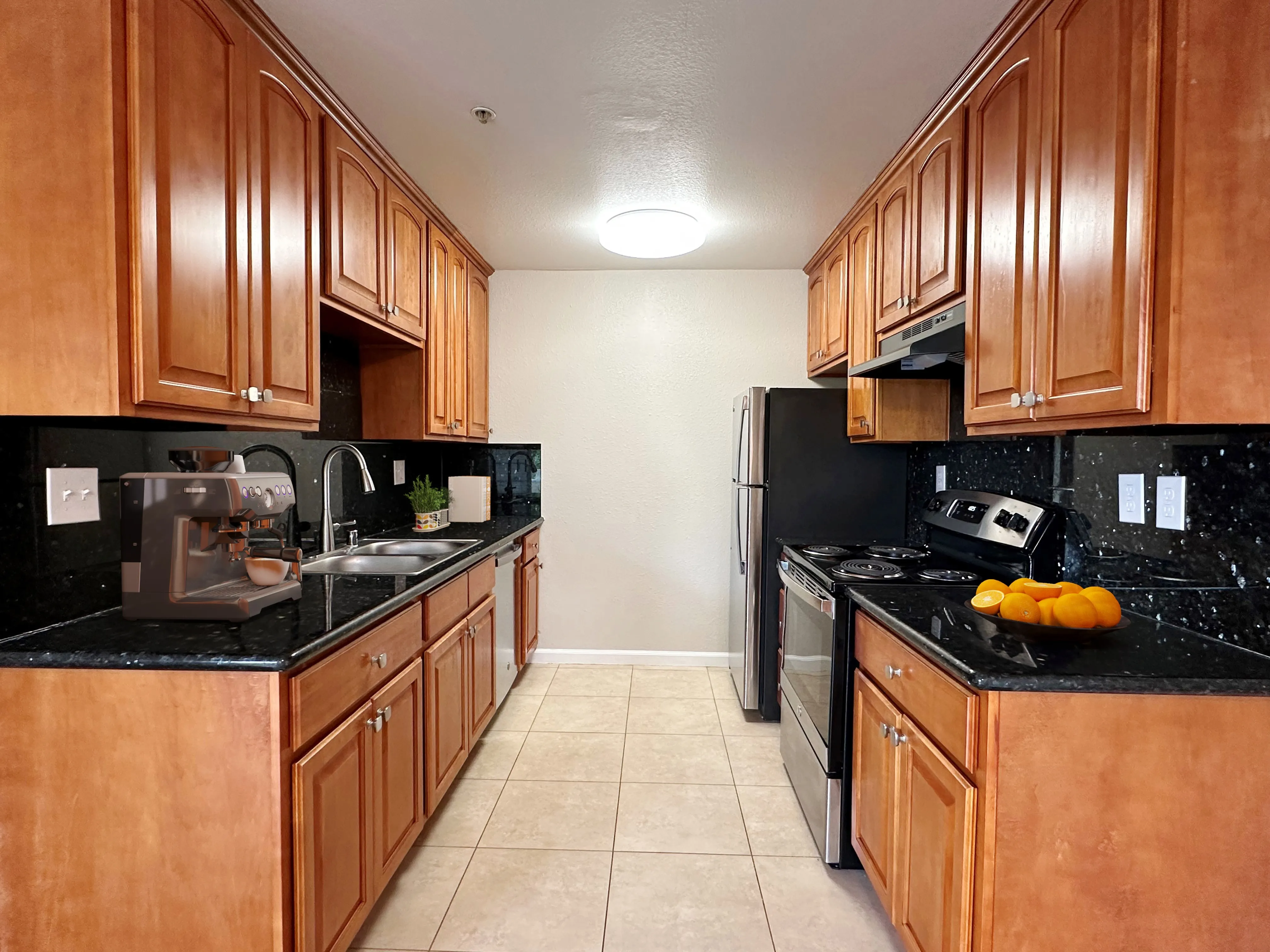 Unit 103 Kitchen