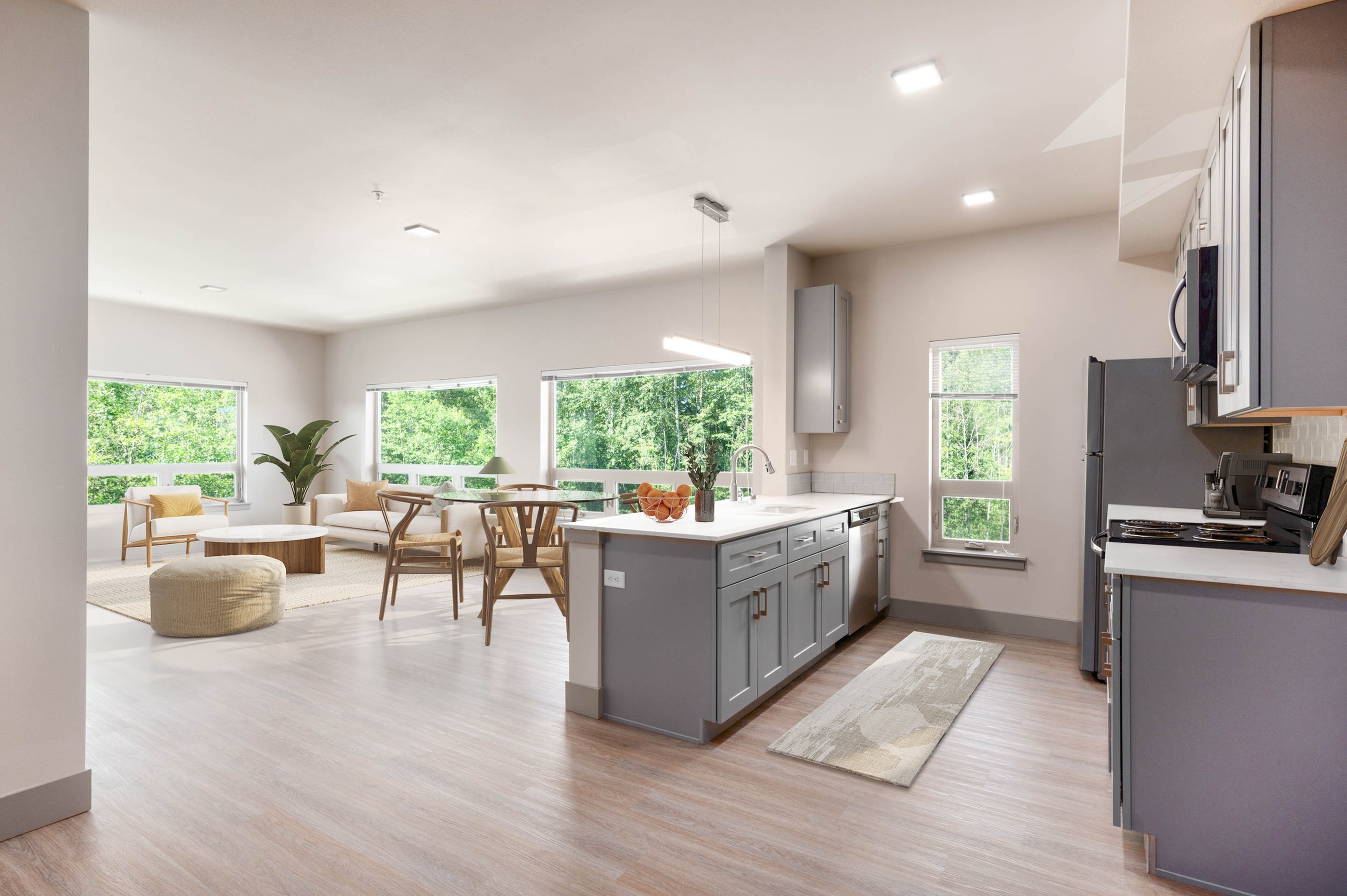 Kitchen / Living Room