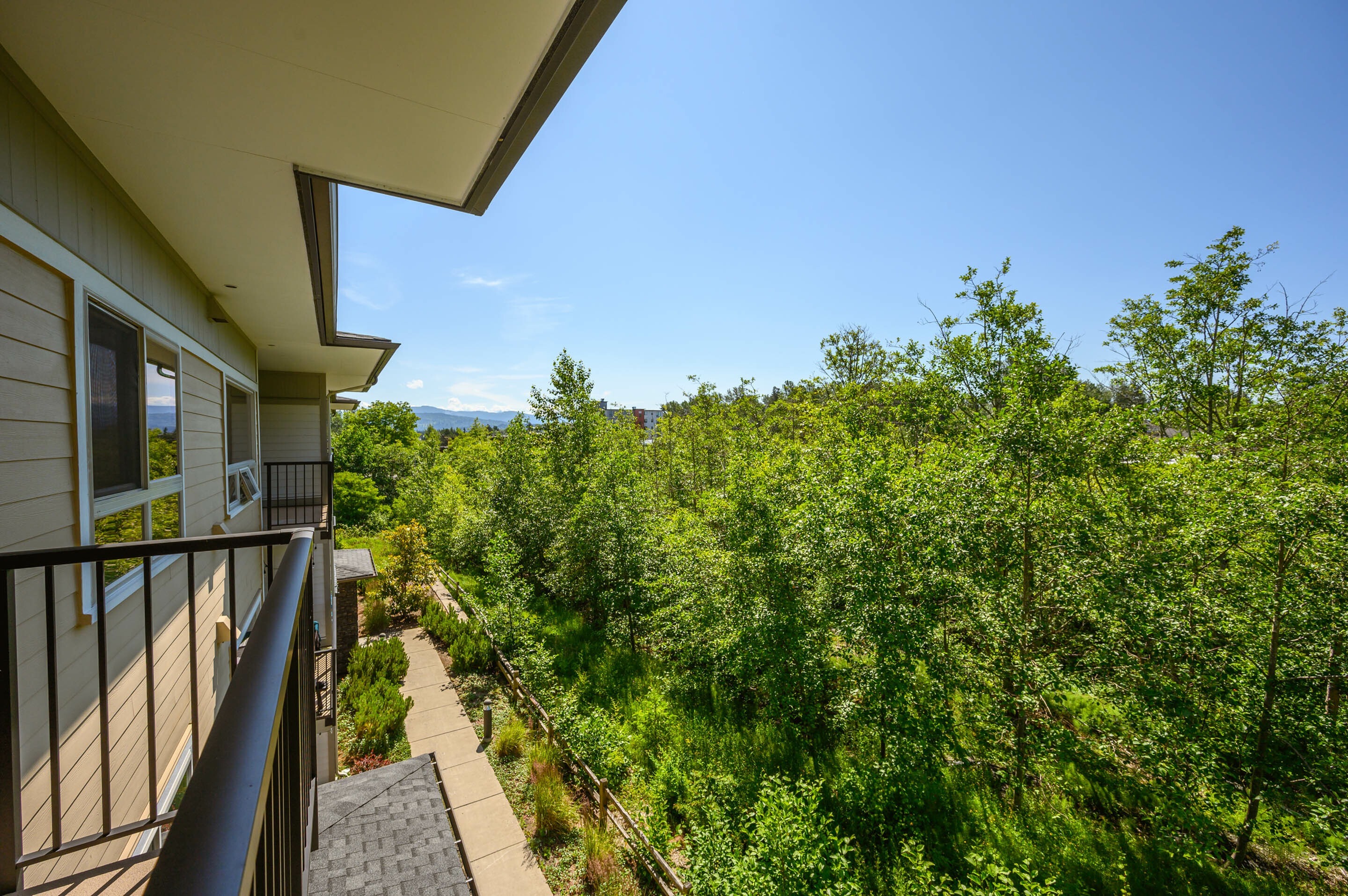 Deck View