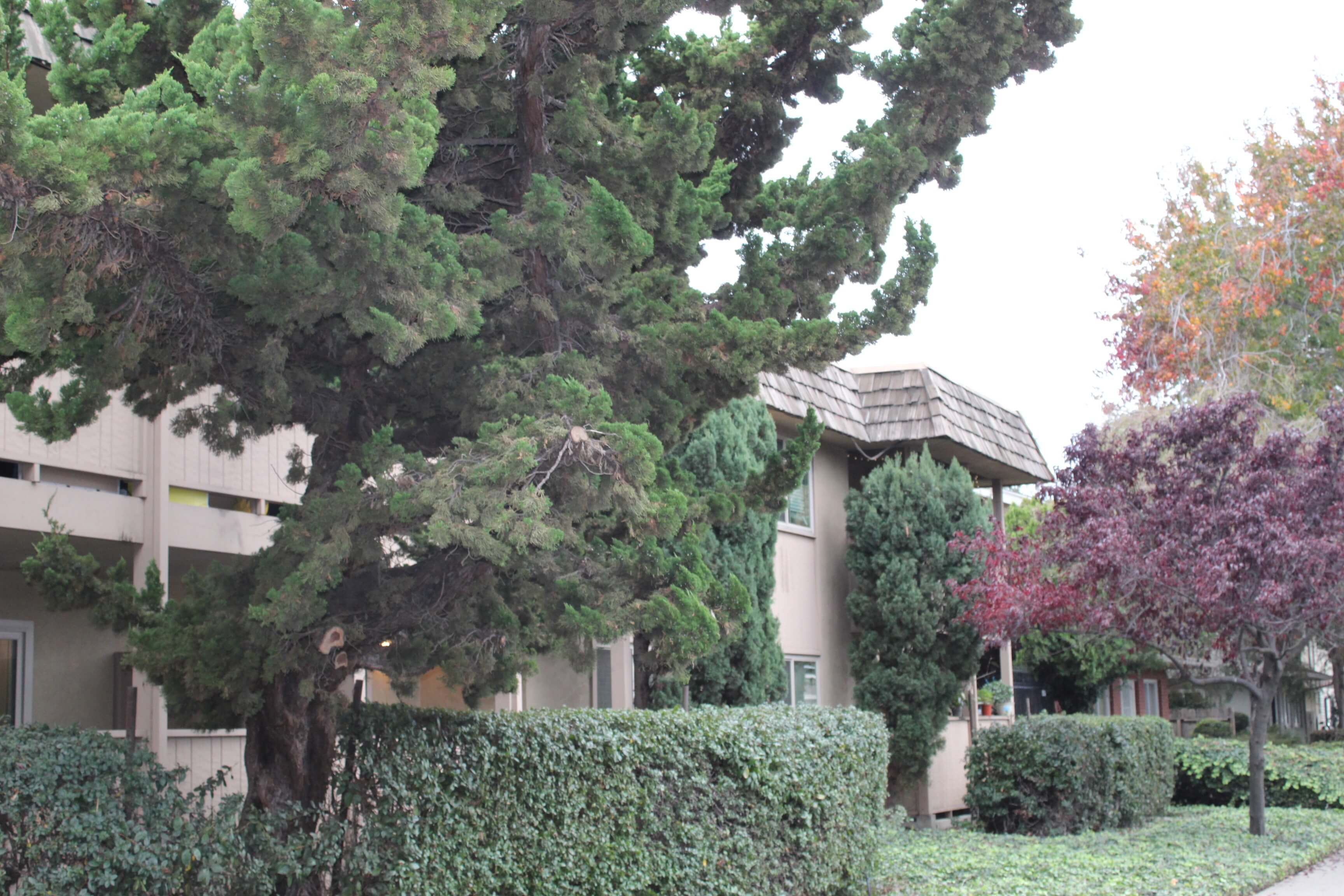 Studio 1 Bed Apartments Check Availability Sleepy Hollow Apartments