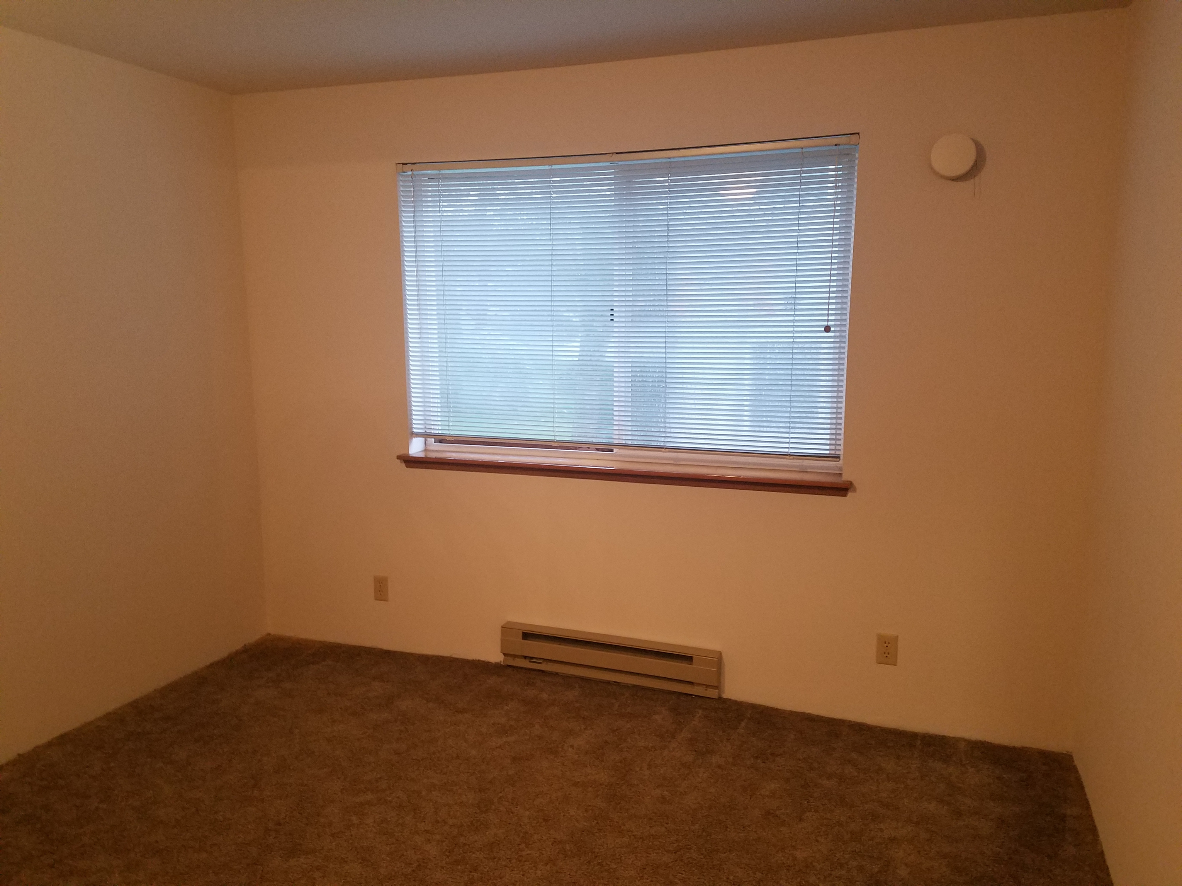 2 bed 1 bath