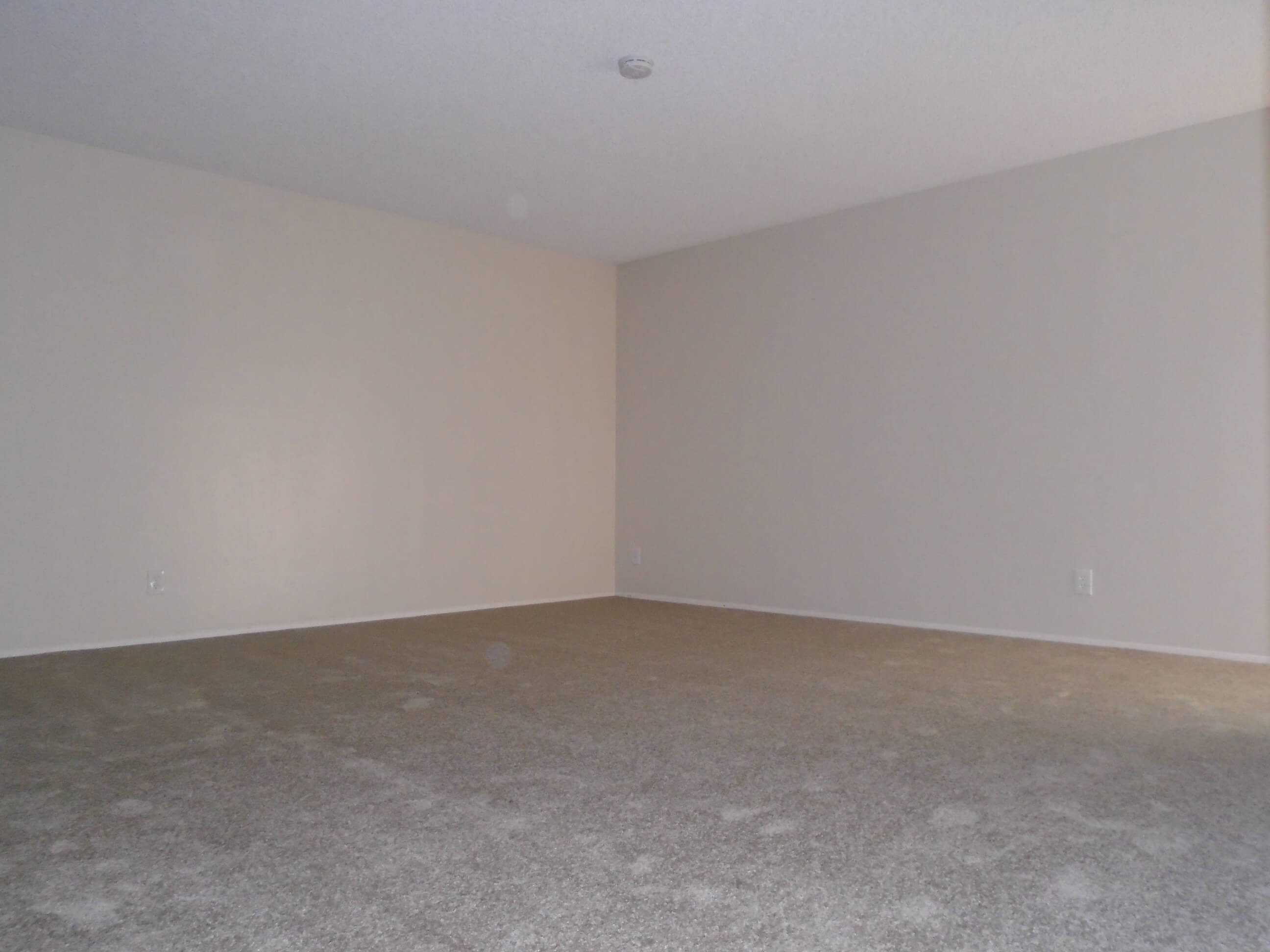 1x1 Living Room