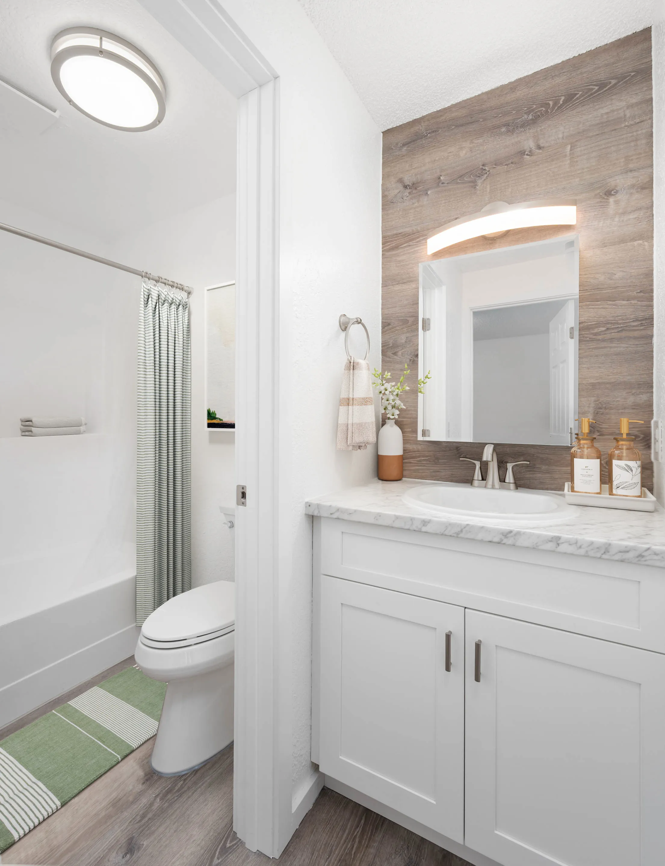 Vanity and Bathroom