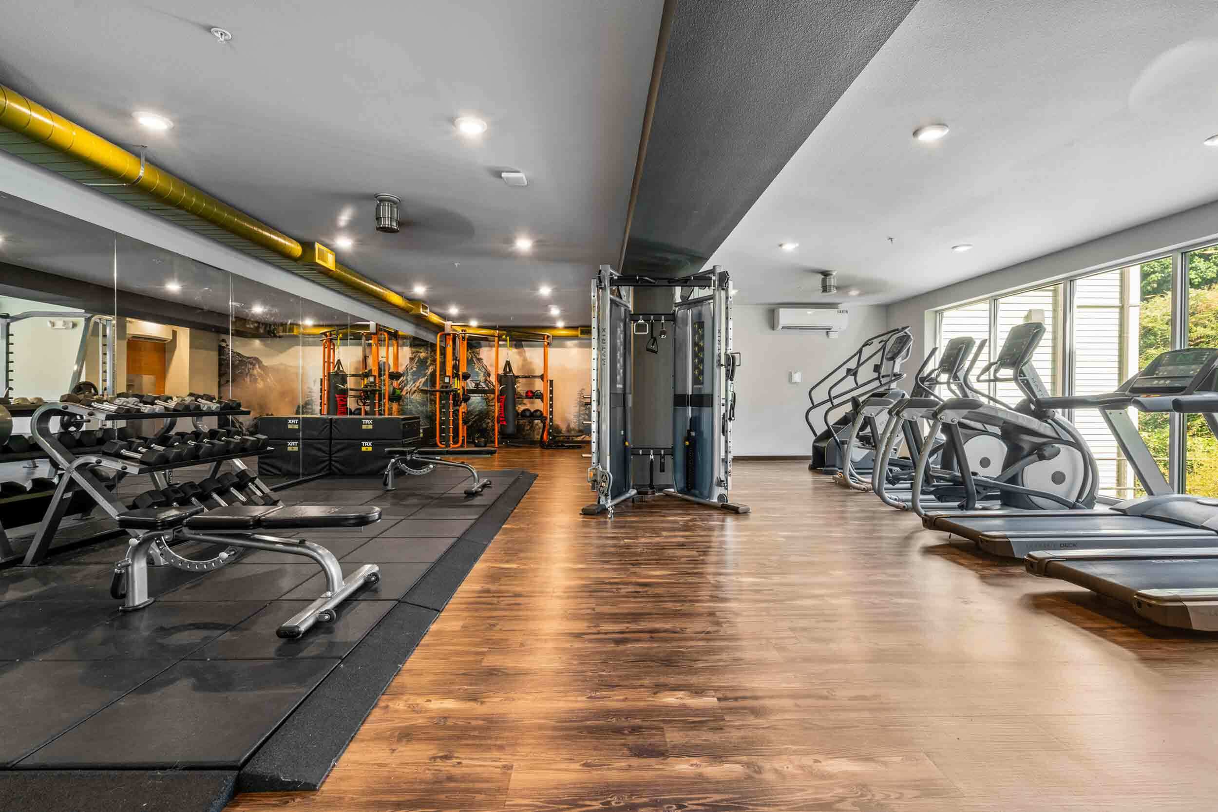 gym