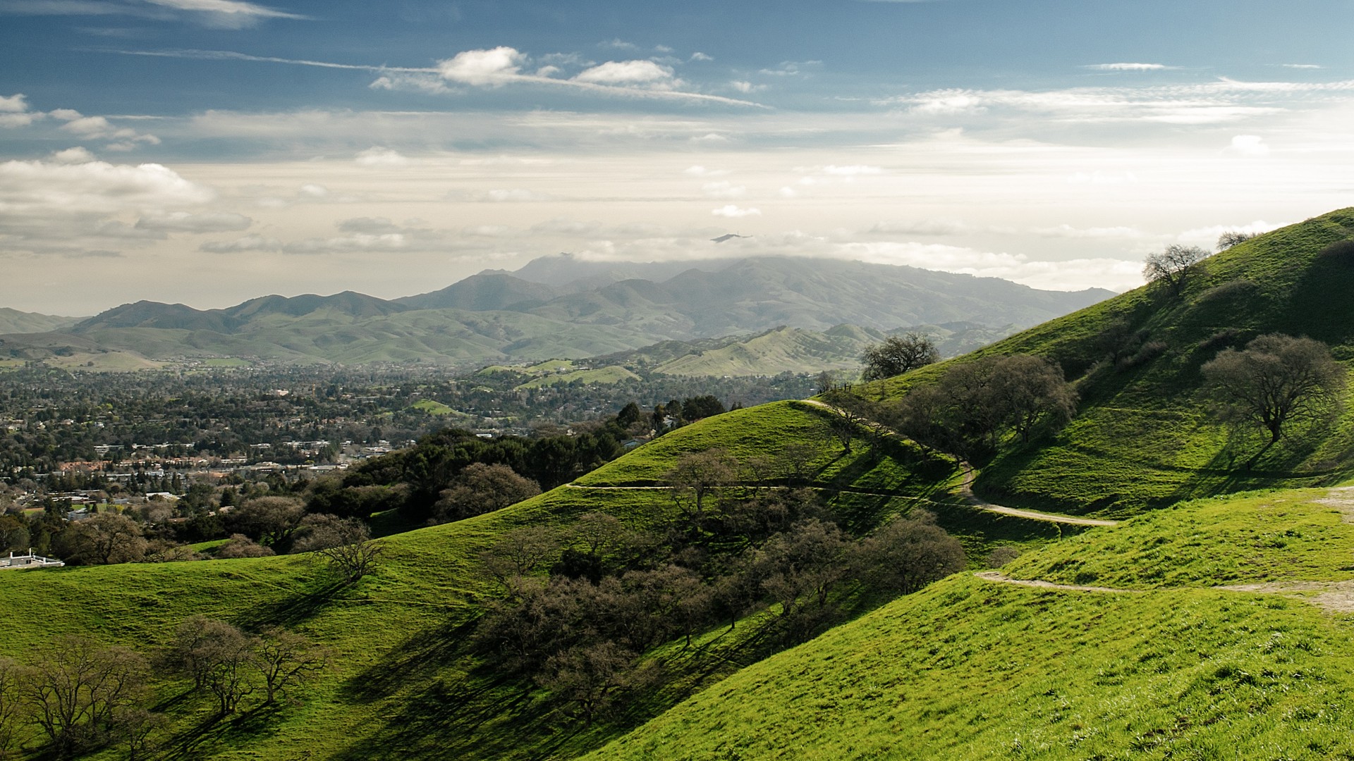 hayward