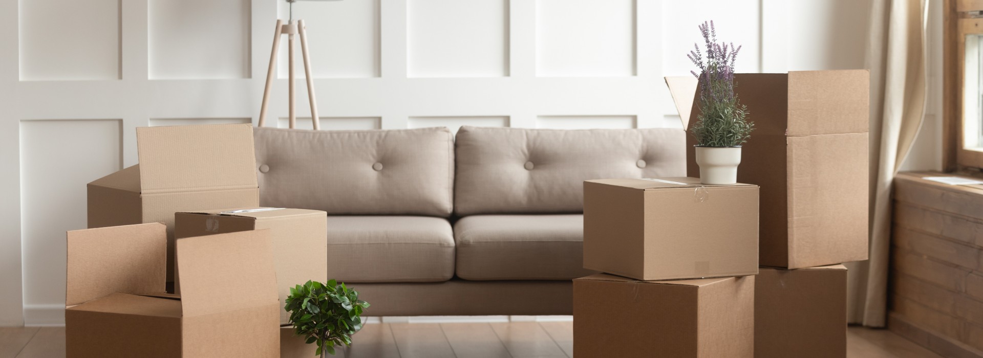 boxes