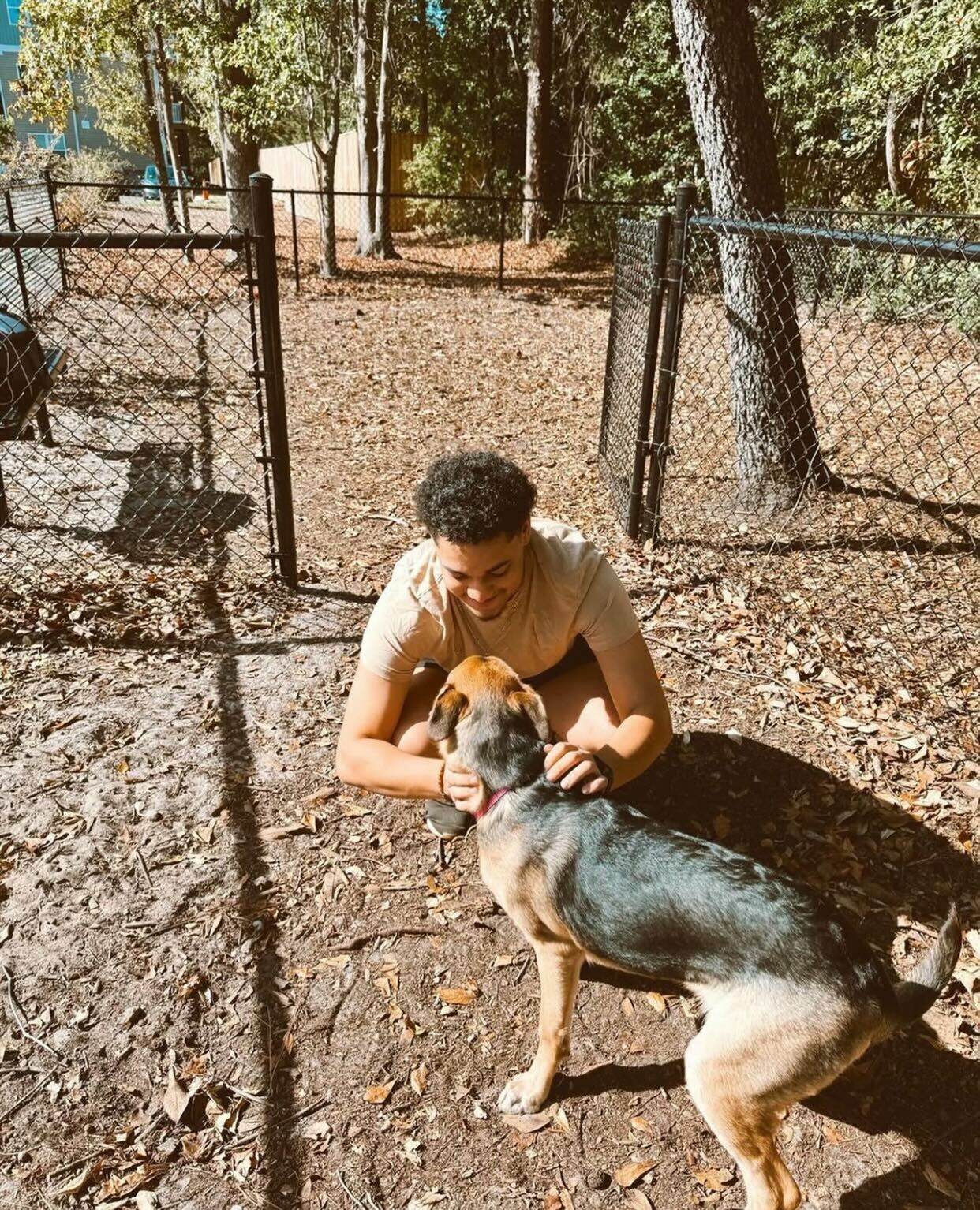 dog park