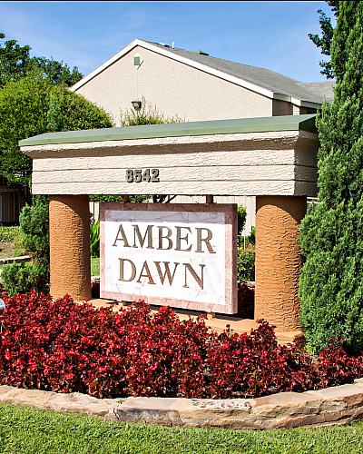 Amber Dawn Post