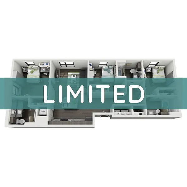 Speakeasy_B_Limited