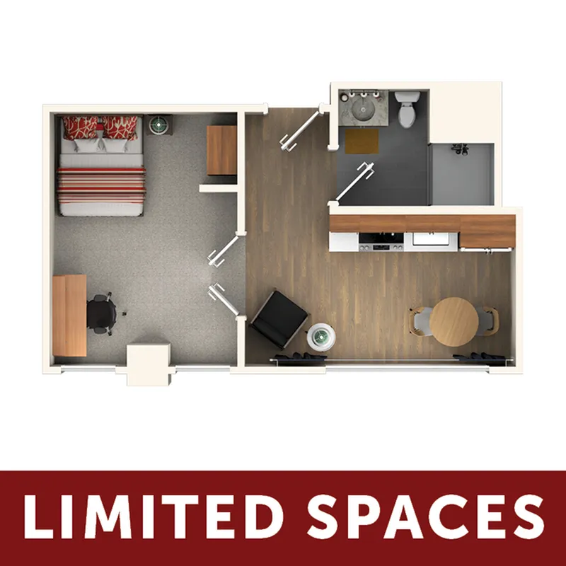 20Hawley Deluxe Studio - Limited Spaces