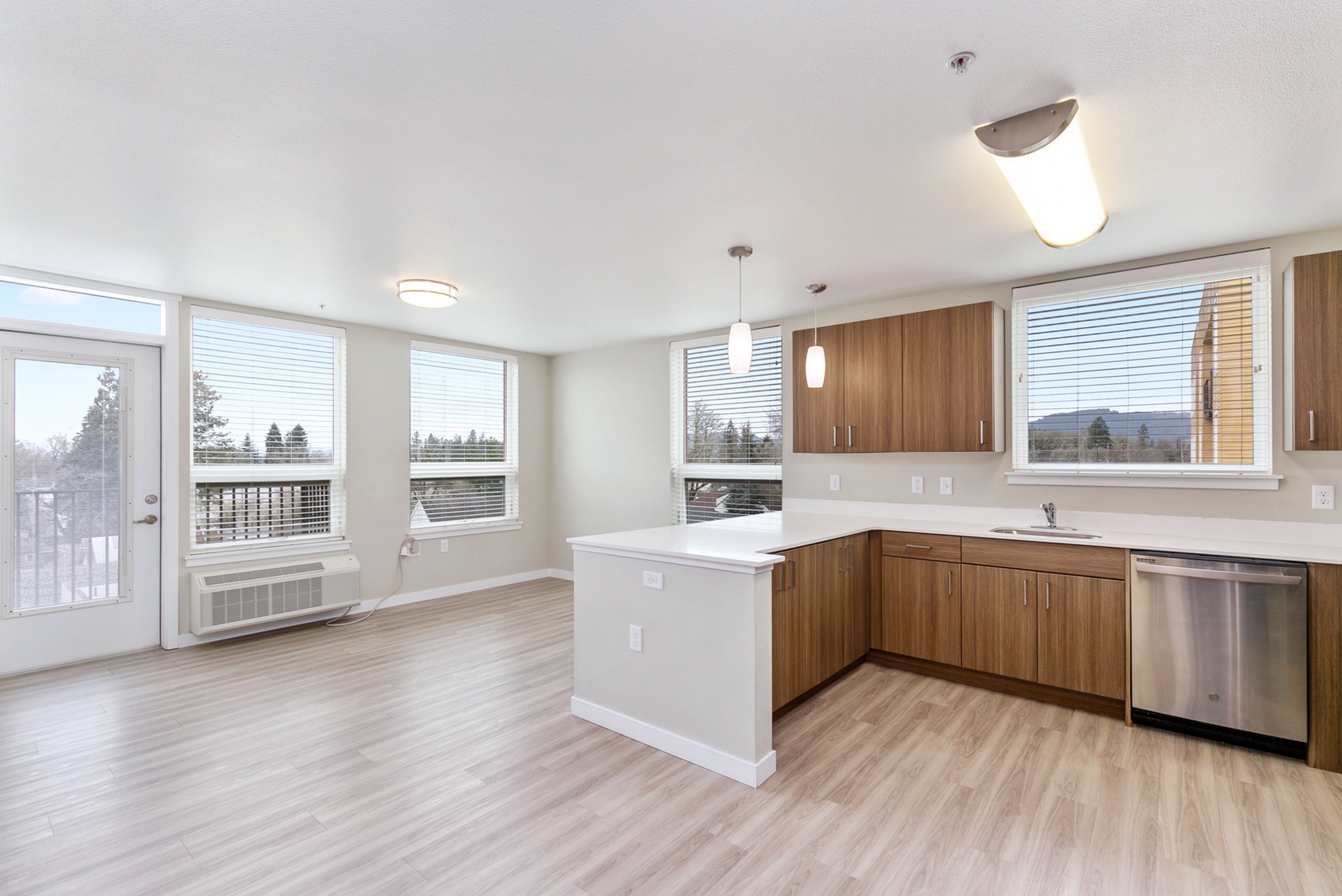 Kitchen and Living Area