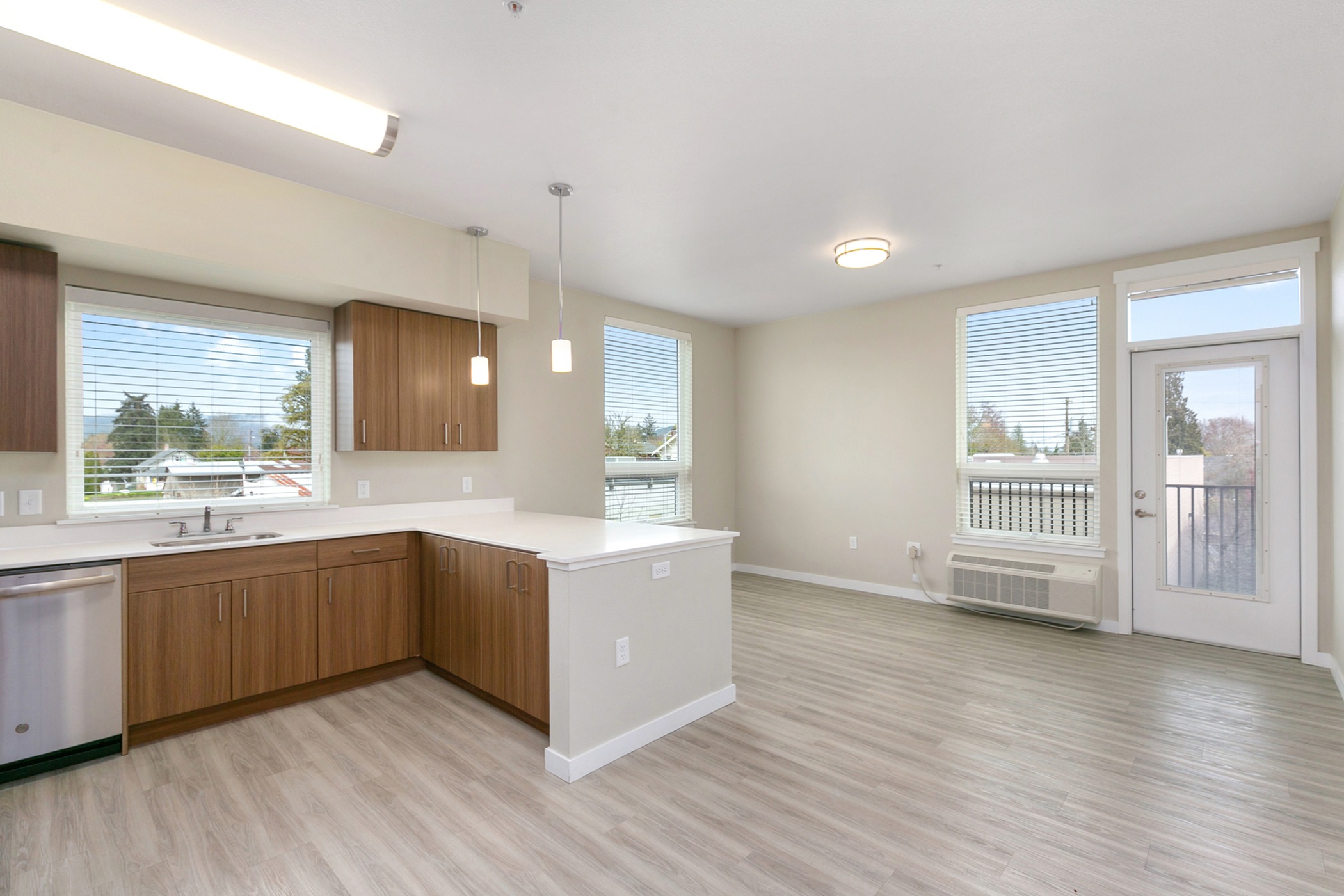 Kitchen/Living Area