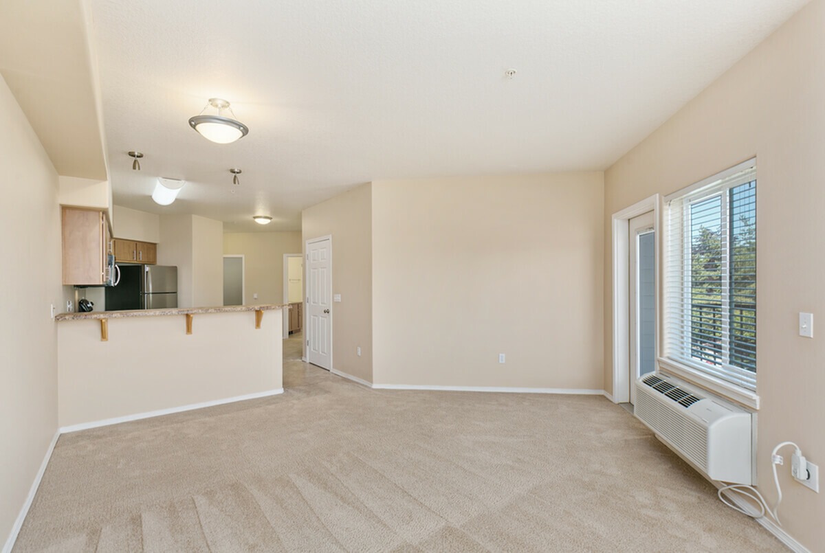 Living Area/Kitchen