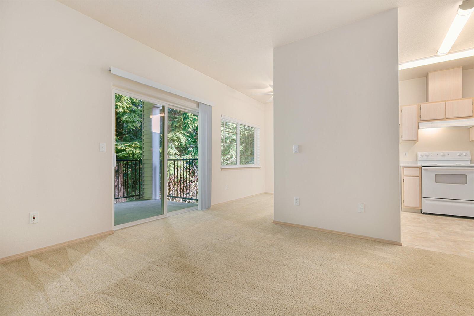 Living Area/Dining Area