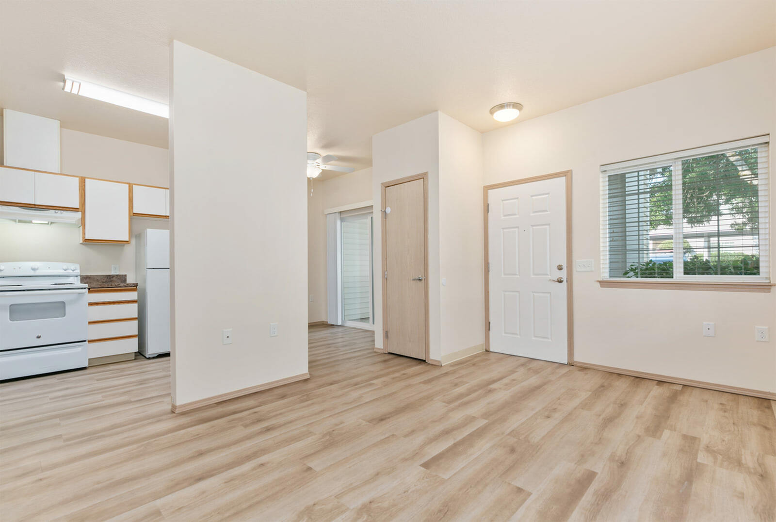 Living Area/Kitchen