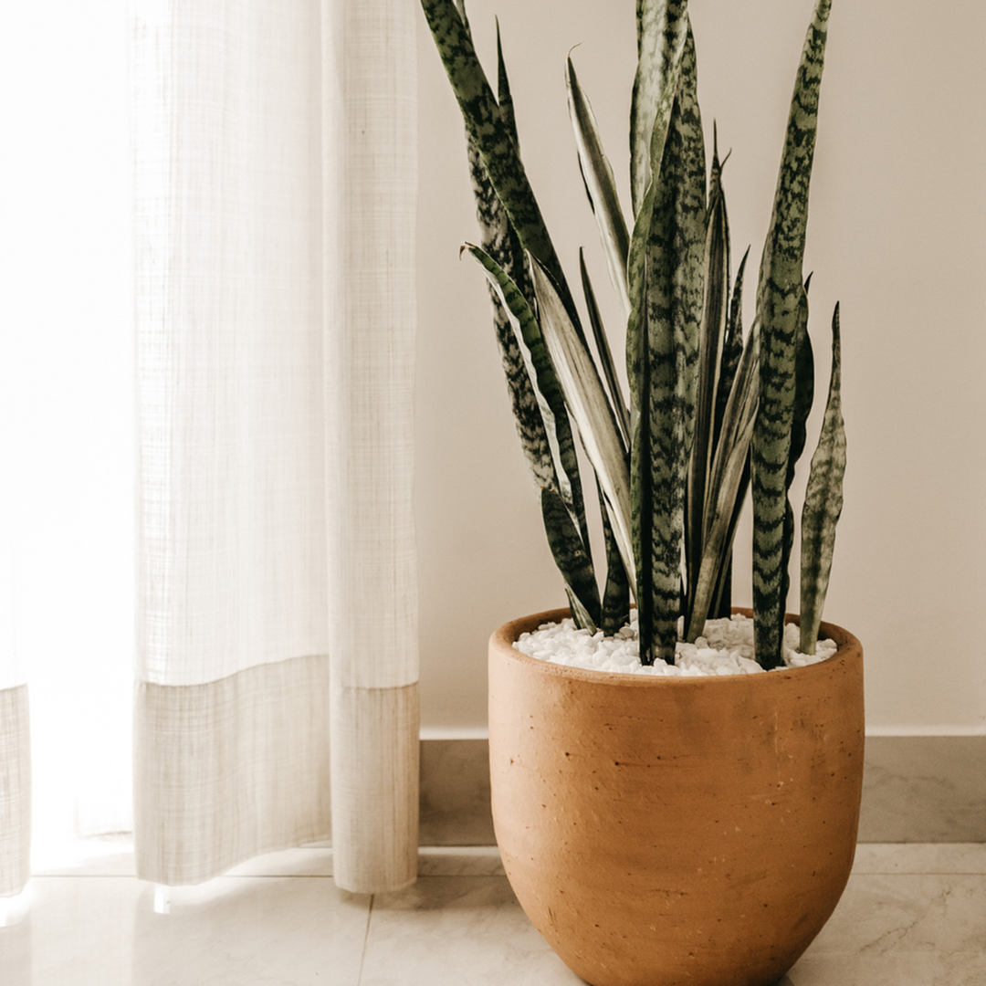 Trendy Interior Decorating Tips for Your Apartment-image