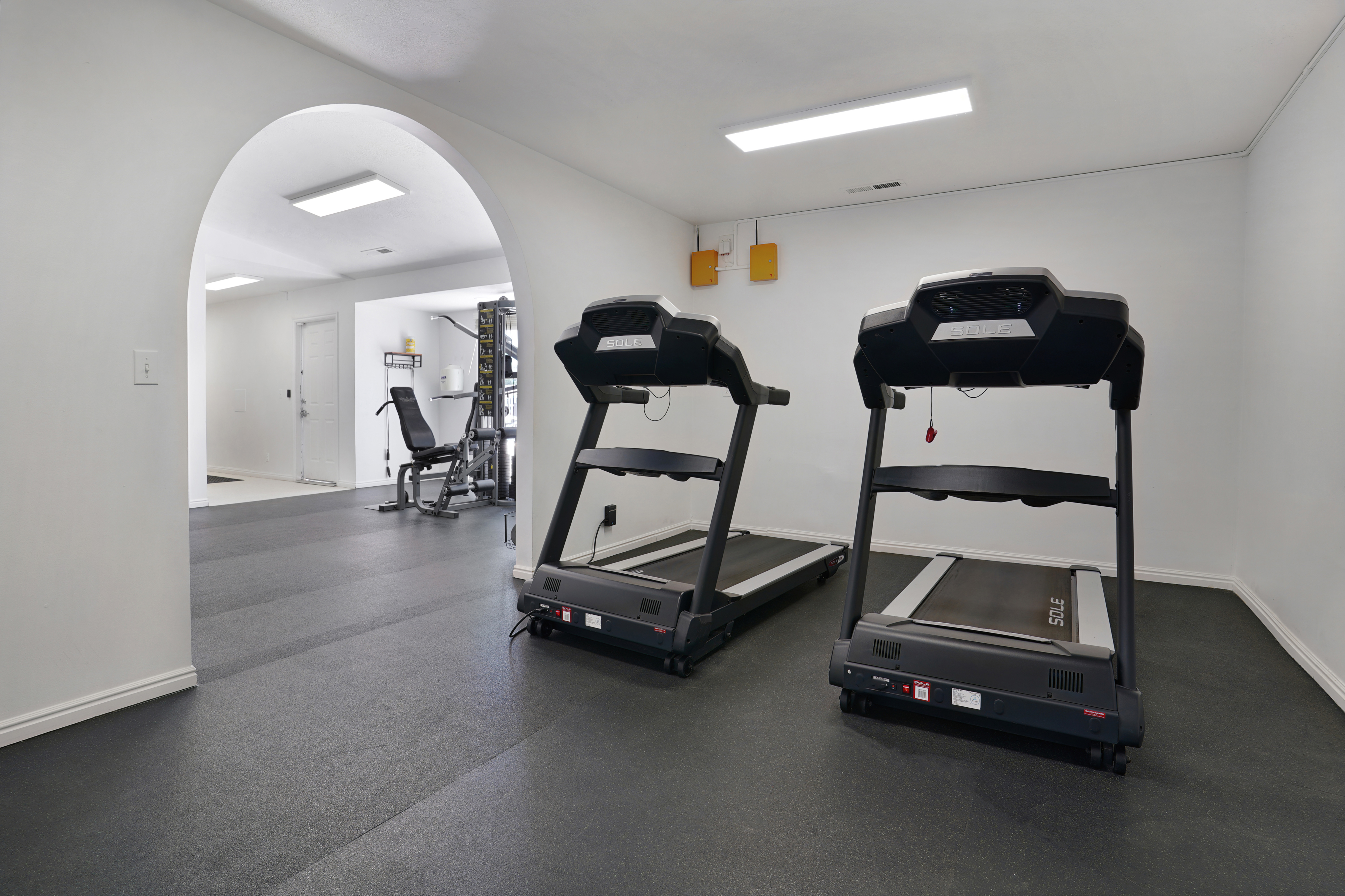 Home Gym with Treadmills
