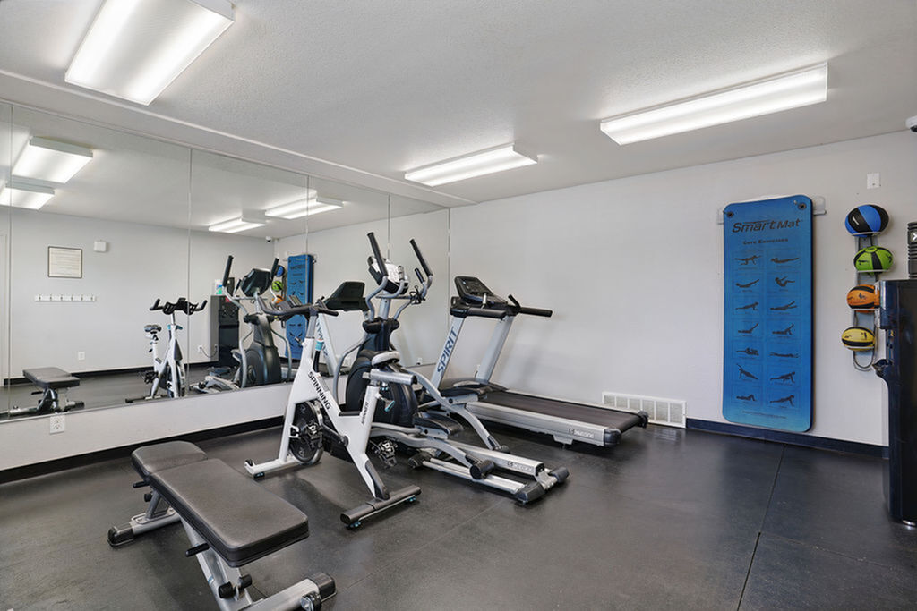 Home Gym with Equipment
