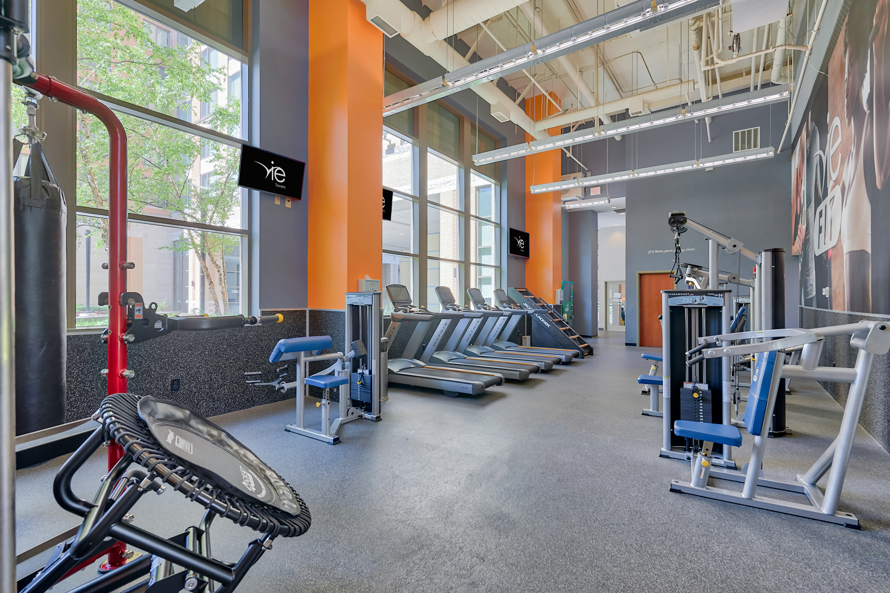 gym