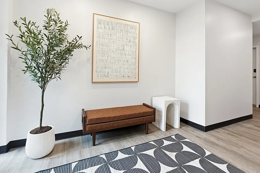 Chic modern lobby with elegant bench, contemporary artwork, and a vibrant plant, welcoming space.