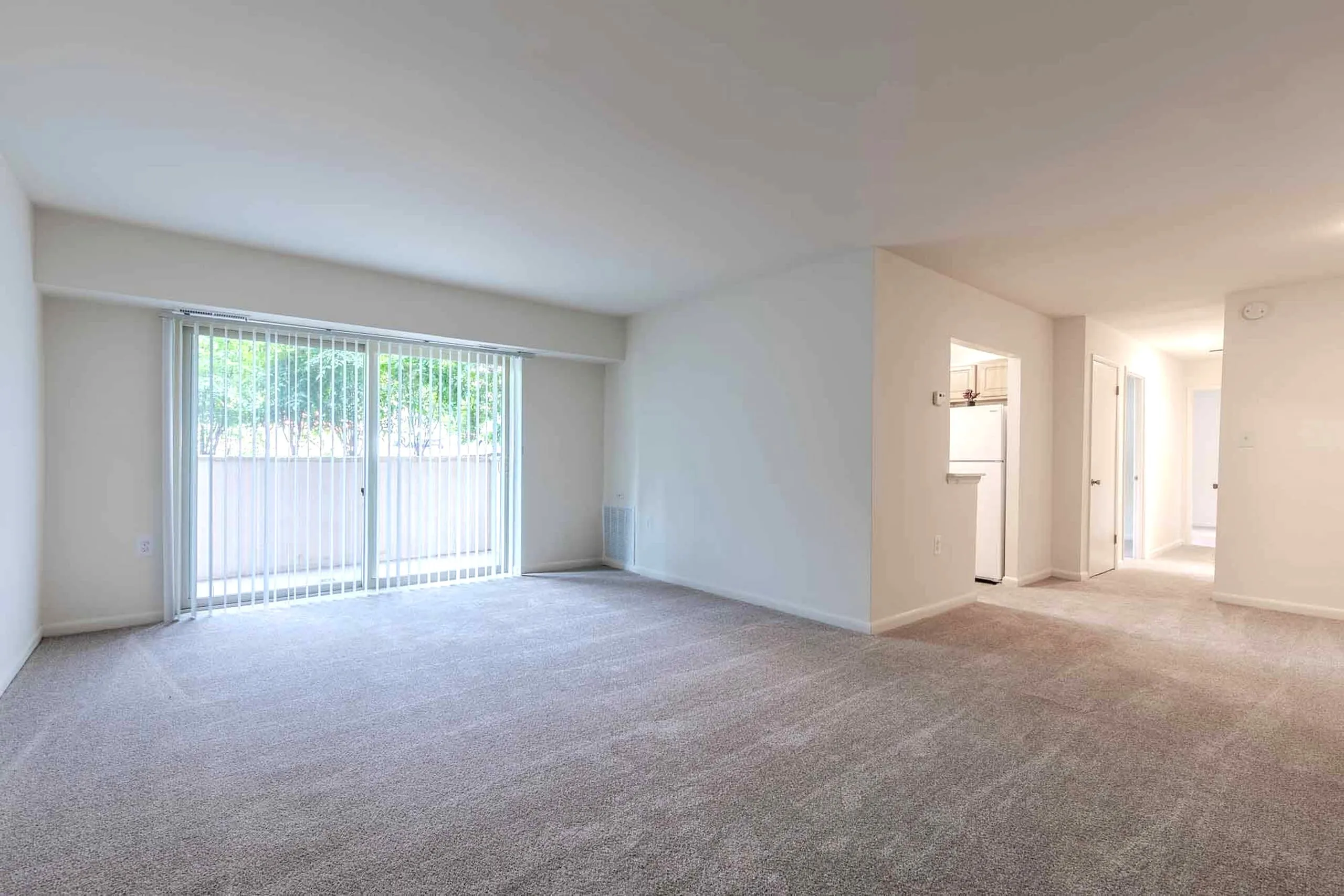 Living Room with Plush Wall-to-Wall Carpet