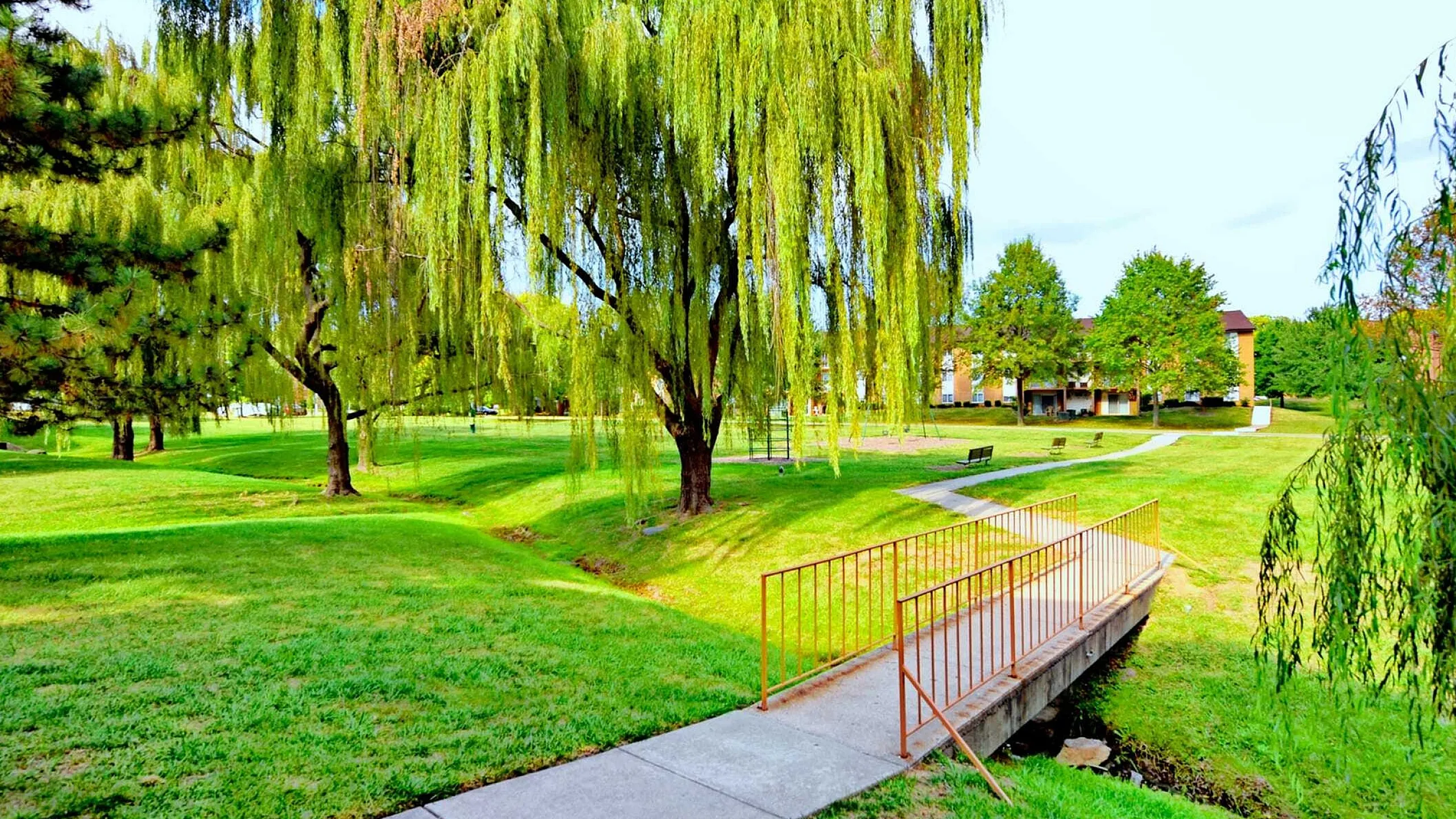 Belmont Park Apartments