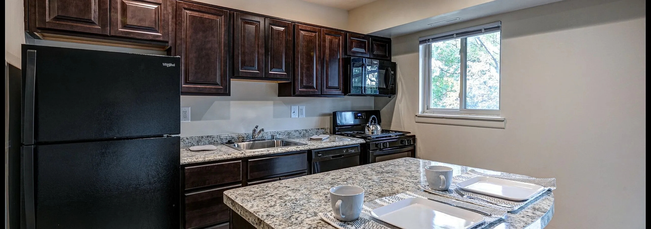 Walker Manor Kitchen