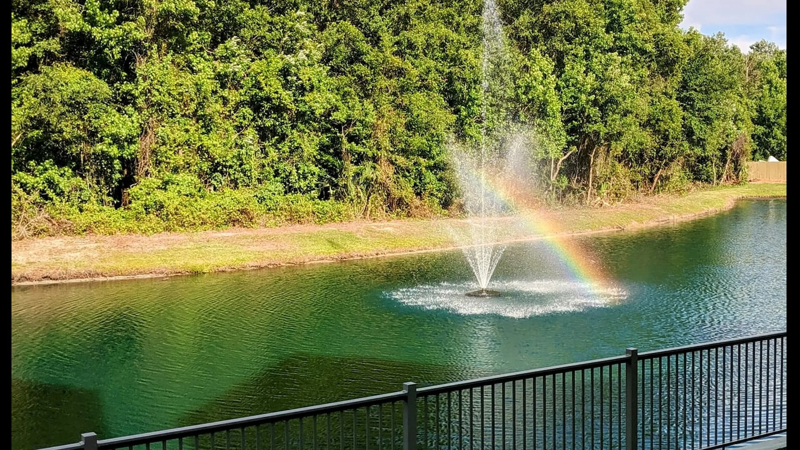 Creekside Park Pond