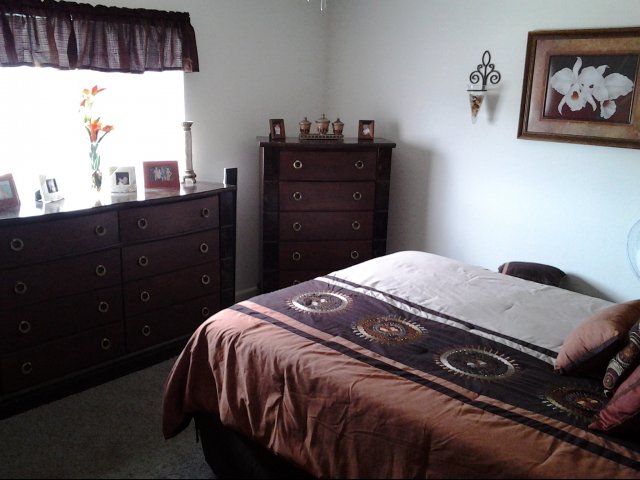 Houses for rent near Stetson Hills, Colorado Springs, CO