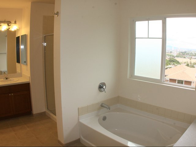 4-bedroom new single family home on FTSH, AMR, Red Hill, master bathroom with shower and soaking tub