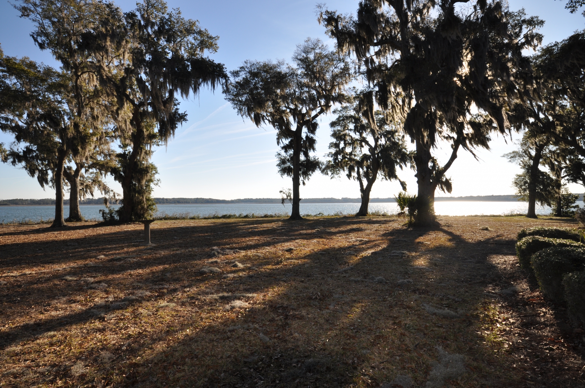 Sunset View of Ocean | Beaufort SC Waterfront View | Trees in Sunshine | Horizon View