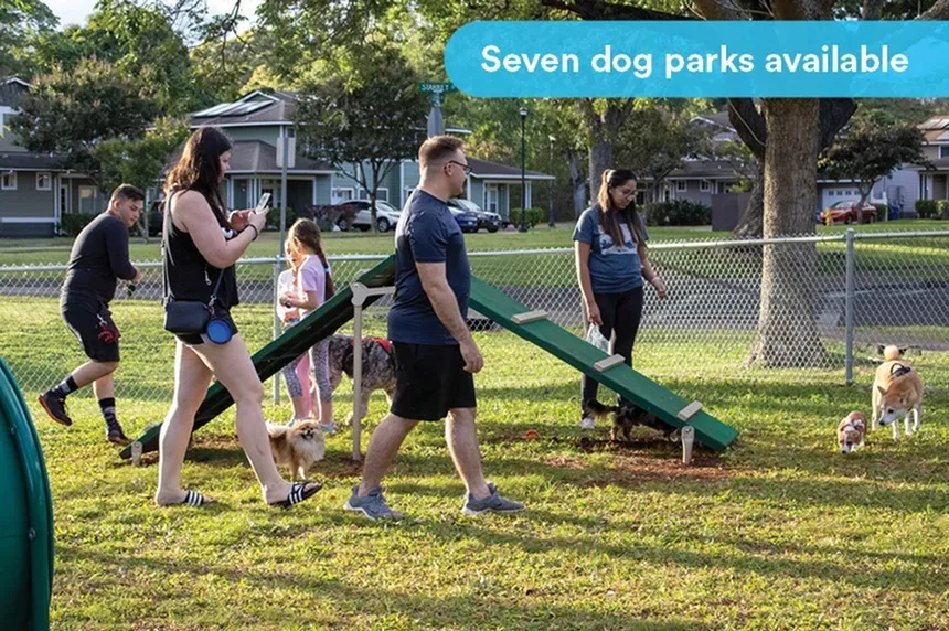 Dog Park | Pet Friendly | Community Amenity | Island Palm Communities | Rental Homes in Mililani